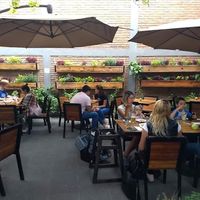 and all these plants 💜 at Silverio Urban Coffee & Shop in Queretaro