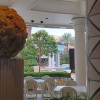 View of the pool at Wynn Hotel - Jardin in Las Vegas
