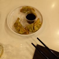 Veggie/Vegan Dumplings. at YO! Sushi in Newcastle Upon Tyne