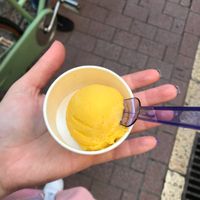 Mango sorbet at Claudio - Gelato con Passione in Mallorca