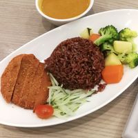 chickenless curry rice at Truly Vegetarian in Central Singapore