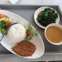 Yes at Truly Vegetarian in Central Singapore