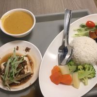 Fish less curry rice  at Truly Vegetarian in Central Singapore