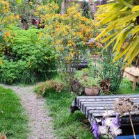  at Sacred Sushi and Curry Sunday in Pisac