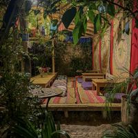   at Sacred Sushi and Curry Sunday in Pisac