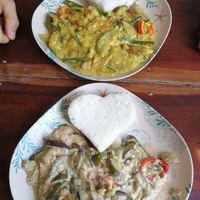 Vegetable curry and egg plant dish. (the curry was amazing!) at Ven'z Kitchen in Moalboal