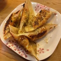 Vegan gyoza  at Ramen Momo in Reykjavik
