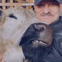 Joar Berge.. Moustache Farmer on fb, Instagram and tix tox  #Veganuary at Govinda's - North City in Dublin