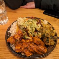Large plate with brown rice, tofu curry, potato curry, daal, with vegetable gratin at Govinda's - North City in Dublin