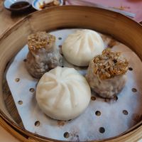 Steamed dumplings at Liutaio Music Cafe & Shop in Cambridge