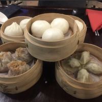 Dim sum at Liutaio Music Cafe & Shop in Cambridge