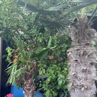   at Cafe Nucleus in Chatham