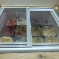 The vegan options at ego in Marseille