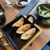 Gyozas at Umi Japanese Bar and Restaurant in Middlesbrough