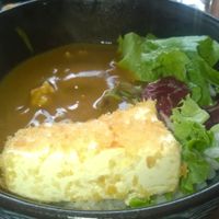 Tofu katsu curry at Umi Japanese Bar and Restaurant in Middlesbrough