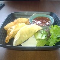 Veggie gyozas at Umi Japanese Bar and Restaurant in Middlesbrough