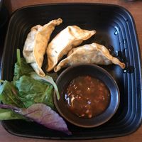 Gyoza  at Umi Japanese Bar and Restaurant in Middlesbrough