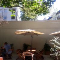 trees everywhere at Zielona Micha in Poznan