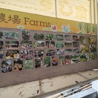  at Dharma Realm Guan Yin Sagely Monastery in Kuala Lumpur