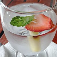 Free water with fruits! Nice gesture! at The Guava Limb in San Ignacio