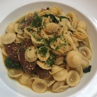 Orecchiette with Italian sausage  at Leona & 3 Brothers in Lynbrook