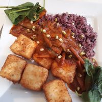 Crispy tofu with a curry and rice at Kaya Vegan Foods in Surbiton