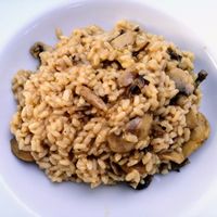 Mushroom risotto with truffle oil at Peppermint Fresh Kitchen in Zakynthos