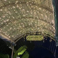 Beautiful atmosphere  at Peppermint Fresh Kitchen in Zakynthos