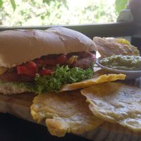 the falafel sandwich at Mar y Hojas Cocina Vegana in Cartagena