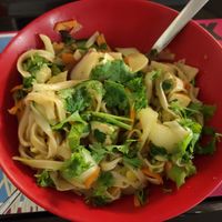 Vegan Wok Tofu at Wokbar in Grenoble