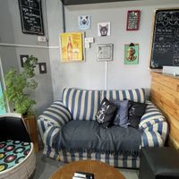   at Pop Art Cafe in Foz Do Iguacu