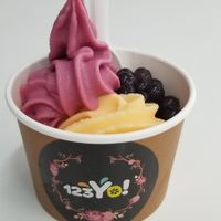 Two vegan flavours offered today at 123Yo in Launceston