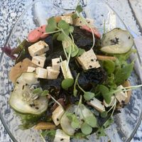 Tofu seeweed salad at Simbiosis in Ibiza