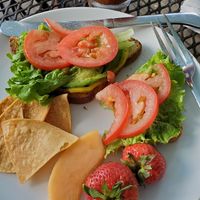 Avocado sandwich at Local Flavor Cafe in Eureka Springs