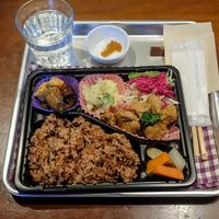 Vegan bento (small) at Vegefirst in Nagoya