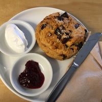 vegan date, orange and ginger scone with coconut cream  at Sunday Cantina in Waikanae