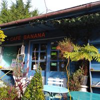  at  Cafe Banana in Withleigh