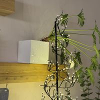 inside  at Alive in Geneva