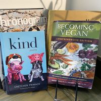 Books!  at Aba's Falafel in Rhinebeck