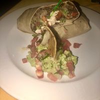 Vegan burrito! at Casa Tequila in Cancun