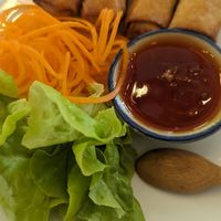 Spring rolls with carrot dip at Hua Hin Vegan Cafe and Wine in Hua Hin