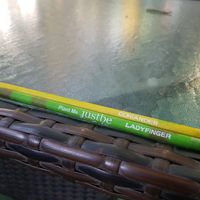 cute free pencils with plant seeds inside at Justbe by Nidhi Nahata in Bangalore