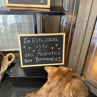 Dog-friendlyy  at Chef Momo in Cartagena