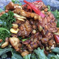 Tempeh at Balinese Spice Magic in Wollongong