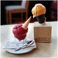 Blackberry Mint Sorbet & Vegan Chorlton Crack at Ginger's Comfort Emporium in Manchester