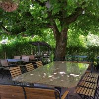 Garden at Pintli in Solothurn