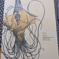  at Giggling Squid in Reigate