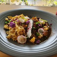 Plat du jour at MU-Food in Geneva