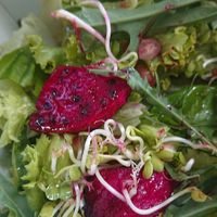 Salad with umeboshi sauce at Tapas del Huerto in Tenerife