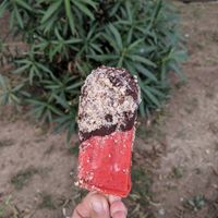 Strawberry with dark chocolate and hazelnut at Stixberry in Split